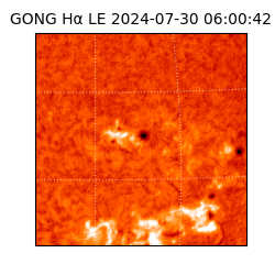 gong - 2024-07-30T06:00:42