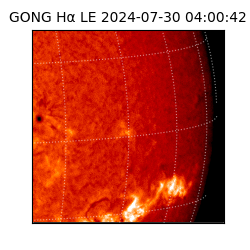gong - 2024-07-30T04:00:42