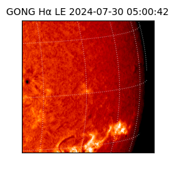 gong - 2024-07-30T05:00:42
