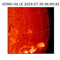 gong - 2024-07-30T06:00:42