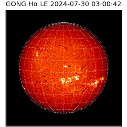 gong - 2024-07-30T03:00:42