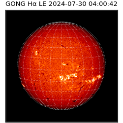 gong - 2024-07-30T04:00:42