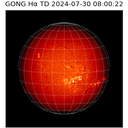 gong - 2024-07-30T08:00:22