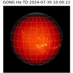gong - 2024-07-30T10:00:22