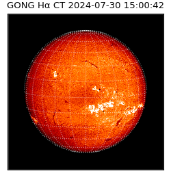 gong - 2024-07-30T15:00:42