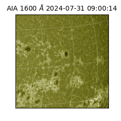 saia - 2024-07-31T09:00:14.126000
