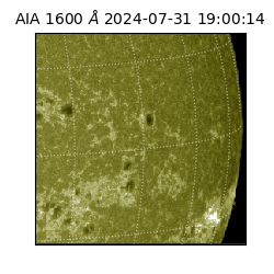 saia - 2024-07-31T19:00:14.126000