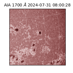 saia - 2024-07-31T08:00:28.722000