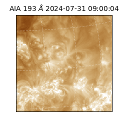 saia - 2024-07-31T09:00:04.843000