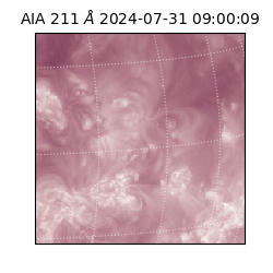 saia - 2024-07-31T09:00:09.627000