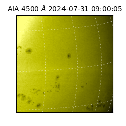 saia - 2024-07-31T09:00:05.962000