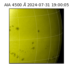 saia - 2024-07-31T19:00:05.962000