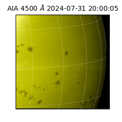 saia - 2024-07-31T20:00:05.962000