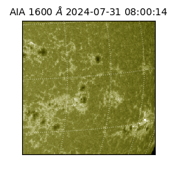 saia - 2024-07-31T08:00:14.126000