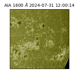 saia - 2024-07-31T12:00:14.125000