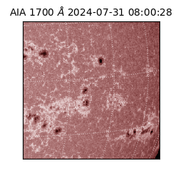 saia - 2024-07-31T08:00:28.722000