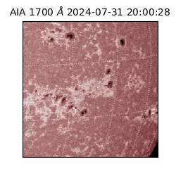 saia - 2024-07-31T20:00:28.717000