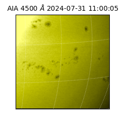 saia - 2024-07-31T11:00:05.962000