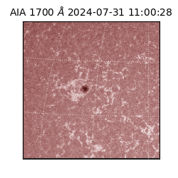 saia - 2024-07-31T11:00:28.733000