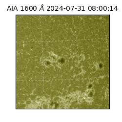 saia - 2024-07-31T08:00:14.126000