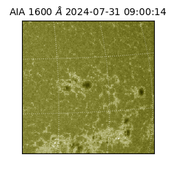 saia - 2024-07-31T09:00:14.126000