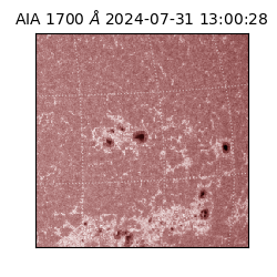 saia - 2024-07-31T13:00:28.709000