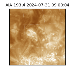 saia - 2024-07-31T09:00:04.843000