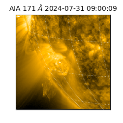 saia - 2024-07-31T09:00:09.351000