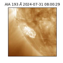 saia - 2024-07-31T08:00:29.958000