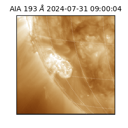 saia - 2024-07-31T09:00:04.843000