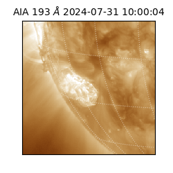 saia - 2024-07-31T10:00:04.843000