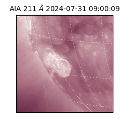 saia - 2024-07-31T09:00:09.627000