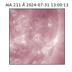 saia - 2024-07-31T13:00:13.120000