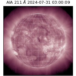saia - 2024-07-31T03:00:09.633000