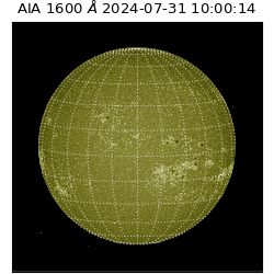 saia - 2024-07-31T10:00:14.126000