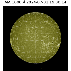 saia - 2024-07-31T19:00:14.126000