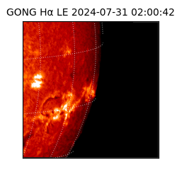 gong - 2024-07-31T02:00:42