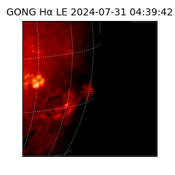 gong - 2024-07-31T04:39:42