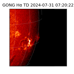 gong - 2024-07-31T07:20:22