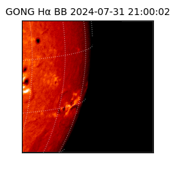 gong - 2024-07-31T21:00:02