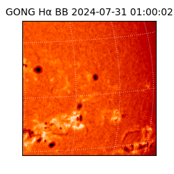 gong - 2024-07-31T01:00:02