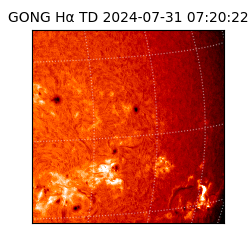 gong - 2024-07-31T07:20:22