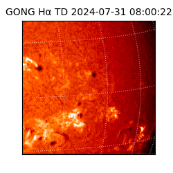 gong - 2024-07-31T08:00:22