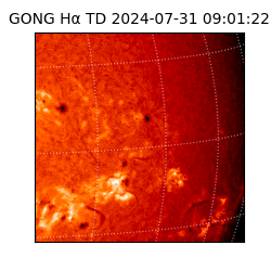 gong - 2024-07-31T09:01:22