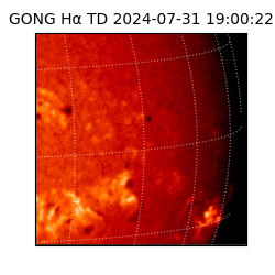 gong - 2024-07-31T19:00:22