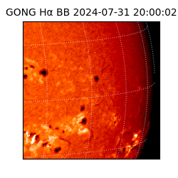 gong - 2024-07-31T20:00:02