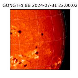 gong - 2024-07-31T22:00:02