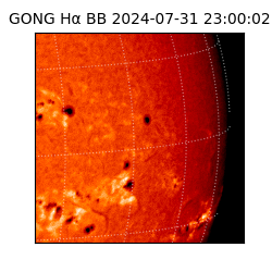 gong - 2024-07-31T23:00:02