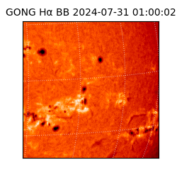 gong - 2024-07-31T01:00:02