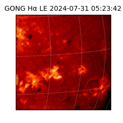 gong - 2024-07-31T05:23:42